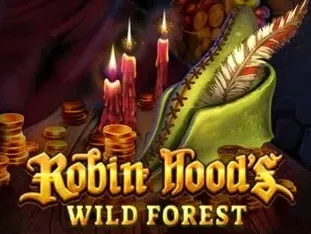 Robin Hoods Wild Forest game cover